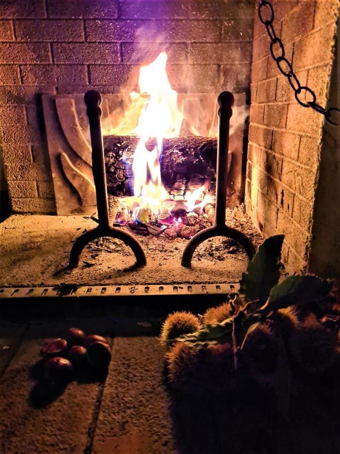 Incantevole Casa Sul Fiume, Relax E Natura Ai Piedi Della Alpi Apuane Massa  Exterior foto
